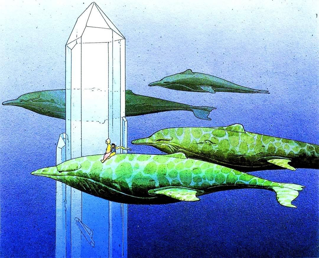 0zmnds's tweet photo. Moebius https://t.co/1fuvZZoyq6