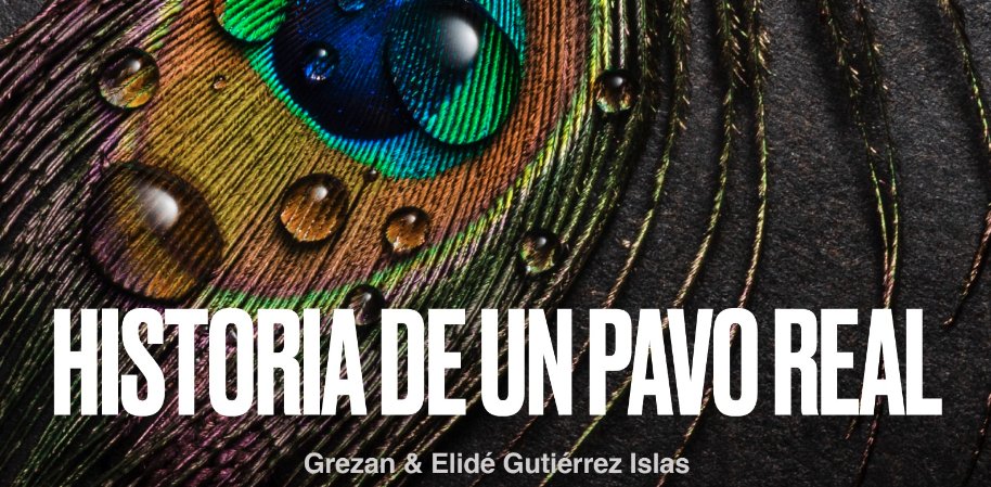 igrezan's tweet photo. Con mucho cariño junto a mi gran partner @ElidGutirrez1, les compartimos nuestro primer experimento Historia del Pavo Real para trabajar con niños (y no tan) sobre el valor real y las interacciones éticas en tiempos digitales
📰https://t.co/QA0Xnz16EN
📒https://t.co/XVV4gUFzjD https://t.co/D9vUF8HMc0