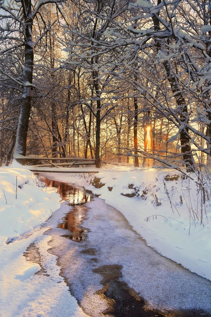 clickasnap_'s tweet image. Bathed in the serene glow of winter sunlight

" Winter sunlight. "

📷️: clickasnap.com/profile/marjem…

#thephotohour #photography #photooftheday #ClickASnapPhotographer #WinterWonder #NaturesPalette