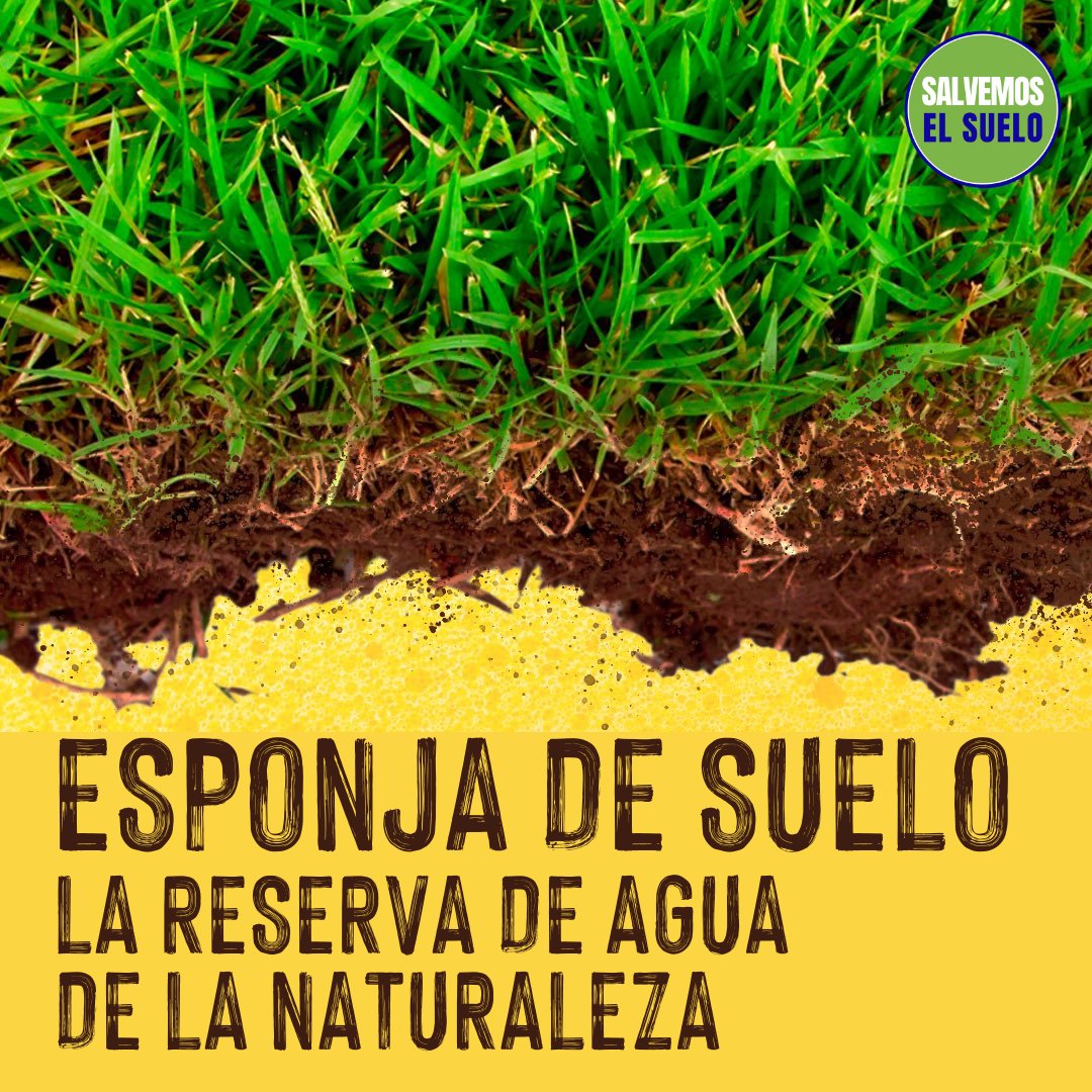cpm_espanol's tweet photo. Aumentar la materia orgánica del suelo en tan solo un 1% en los 15 cm superiores puede mejorar la retención de agua en unos 20.000 galones por acre (USDA NRCS, 2016).

Actúa ya: https://t.co/cdoSdtvbgF

#SoilForClimateAction 
#SaveSoilFixClimateChange https://t.co/WRgaR9eaJ8