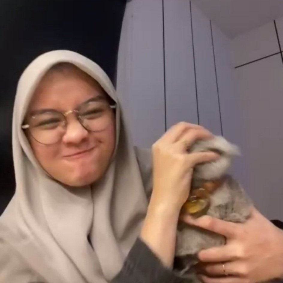 heidyyyaa's tweet photo. bombat gembrot bgt bjir gemess😩🤏🏻yg dulu pasrahan sekarang udah bisa ngelawan babu nya😭 dia udah mulai ngerti cara menjadi majikan yg benar

from this                                     to this https://t.co/IrxTgkgOkf