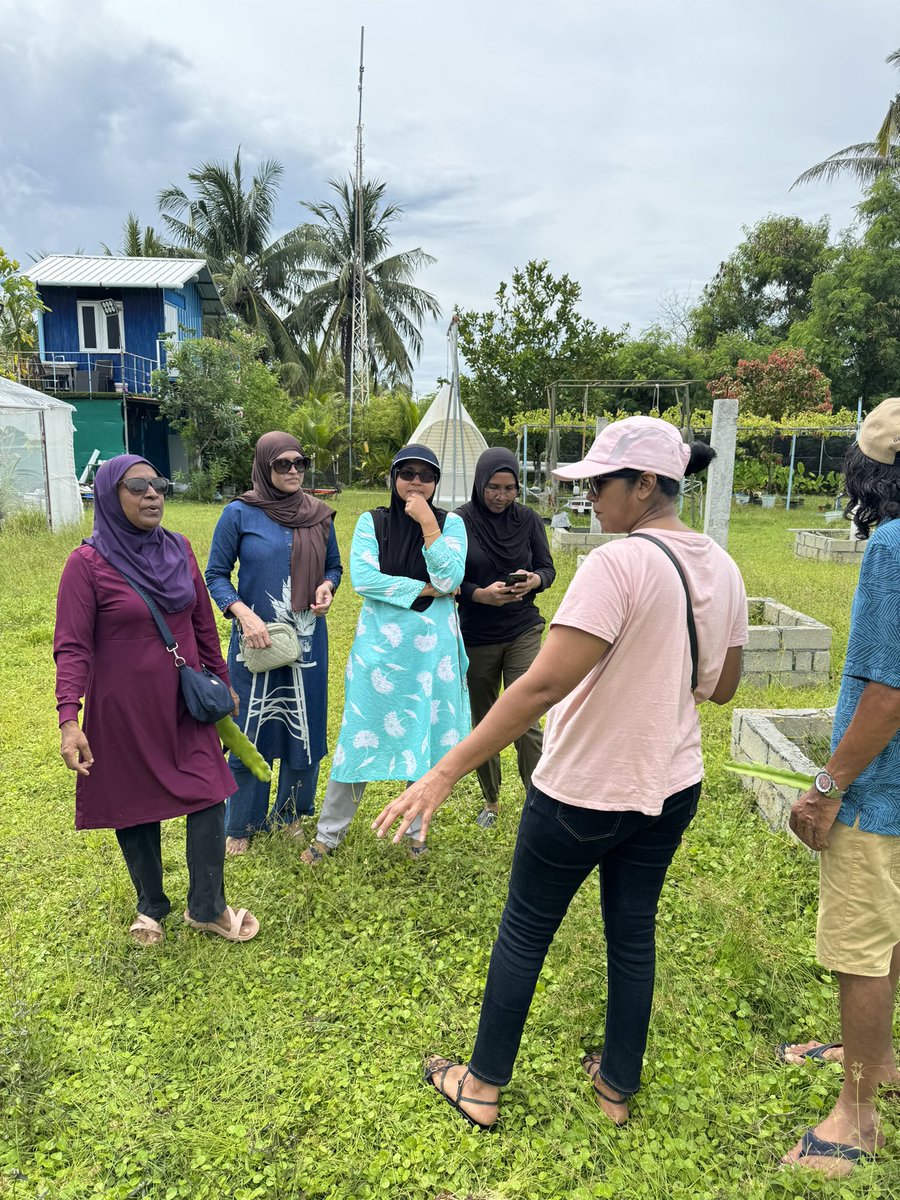 ZuvanDhaduveria's tweet photo. School holiday visitors season #AdduMeedhoo #Dragonfruitfarm
#GrowWithOoredoo #eHubaddu https://t.co/4pIAVwgmUa