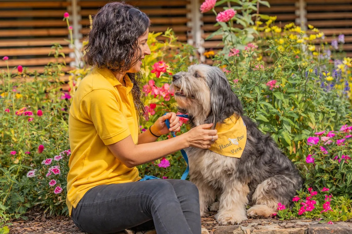 Happy National Trivia Day! ✨ Let's put your HIP knowledge to the test: What year was Hand in Paw founded? A) 1992 B) 2004 C) 1996 D) 2001 Drop your answer in the comments 💬 #handinpaw #animalassistedtherapy #trivia #nationaltriviaday #therapydog #therapydogsofbham