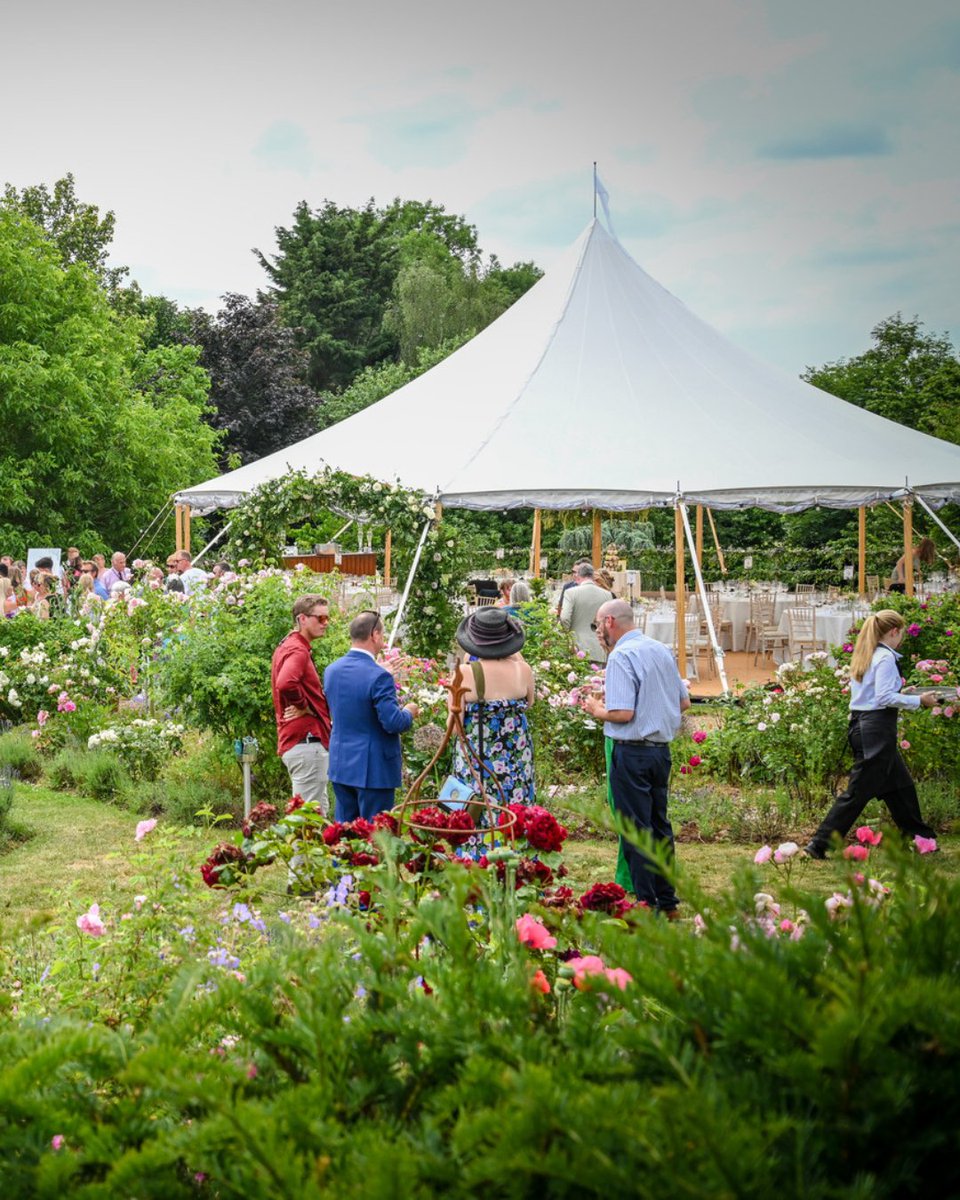 World Inspired Tents tweet media