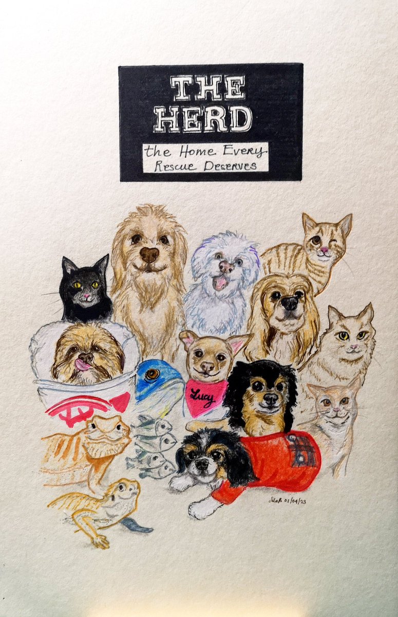 bouncebckbelle's tweet photo. Yes, hello! Several Squerd/FotS commissioned me to do an illustration of The Herd family as a gift for you, @Herdmom_Tine. SURPRISE!! ๐
We hope this reminds you of how much you are loved by so many people around the world. โค๏ธ
#MarjDrawsDogs #MarjDrawsPets https://t.co/POipPjkDLy