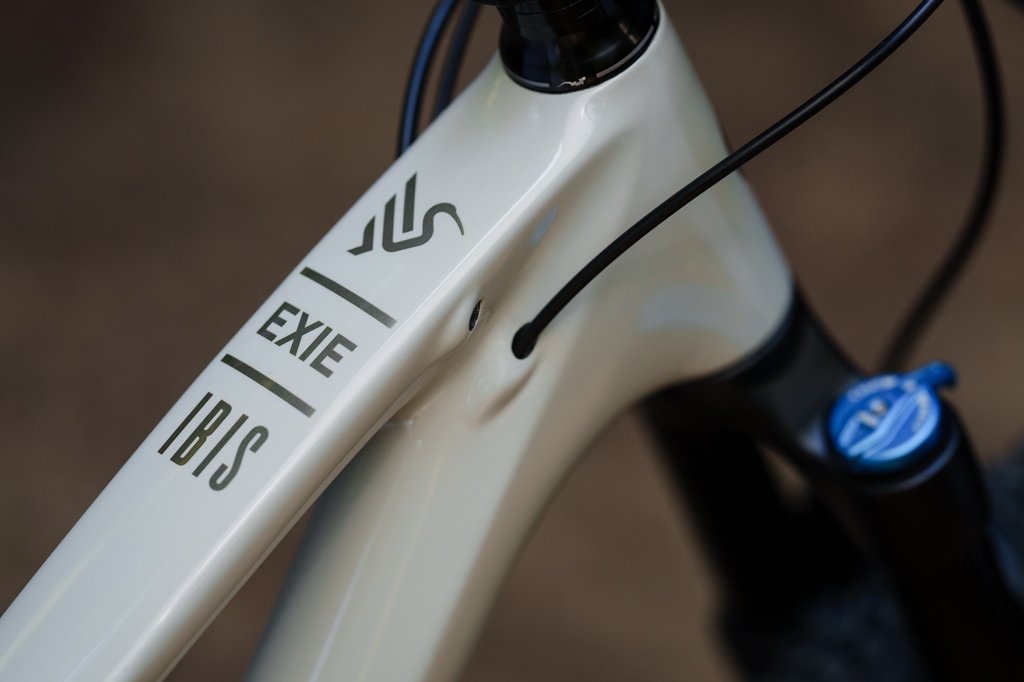 IbisCycles's tweet photo. Which Exie captures your heart — the subtle Bone or the bold Navy? Share your favorite in the comments!⁠ Right now, both colors are on sale for 25% off! 
📸 @satchscratch⁠
⁠
#ibiscycles #IbisExie #mtb #trail #cycling #bike #ridemoreworkless https://t.co/uENM4bPivV