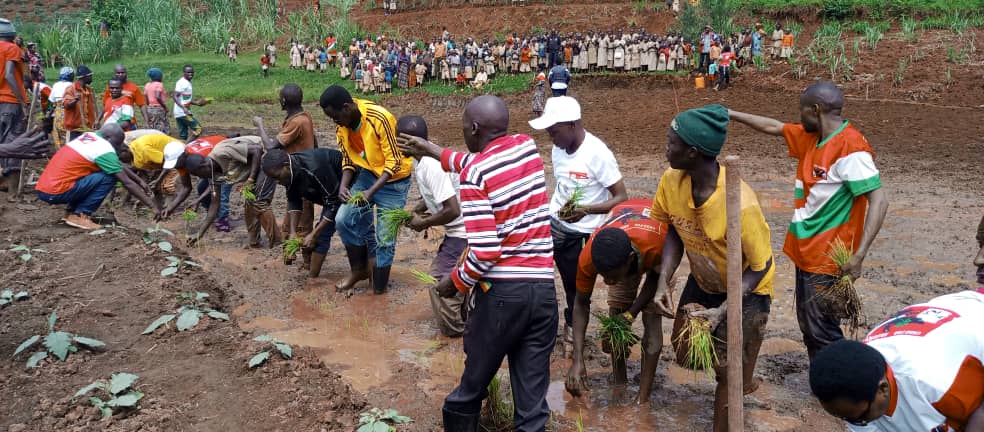 CnddFddButanyer's tweet photo. 04/01/2024 Mu ntumbero yo kunagura #AJADEBU n'ugushira ku kivi Imbonerakure n'abakenyererarugamba, Umunyamabanga ntunganyabisata ajejwe imihari muri #Butanyerera yifafikanije n'aba #AJADEBU mu gutera umurima w'Umuceri1/2 ha ku mutumba #Rumbaga zone #Rukeco.
@CnddFdd
@R_Ndikuriyo https://t.co/qaprHsh78b