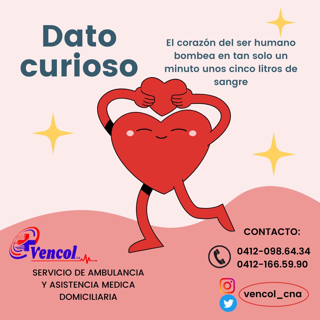 vencol_cna's tweet photo. Es recomendable que aunque no se tenga una afeccion cardíaca diagnósticada, es vital que visite a un cardiólogo al menos una vez al año con fines de prevención.

#Vencol #Salud #Ambulancia #Cumana #Sucre #Corazon #Cardiologo https://t.co/XXPSPlg6mV