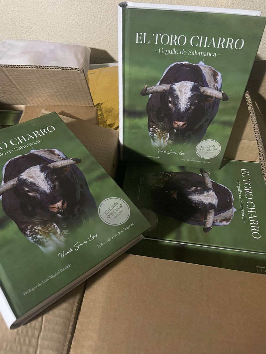 Vicente Sánchez 🇪🇸⚔️ tweet media