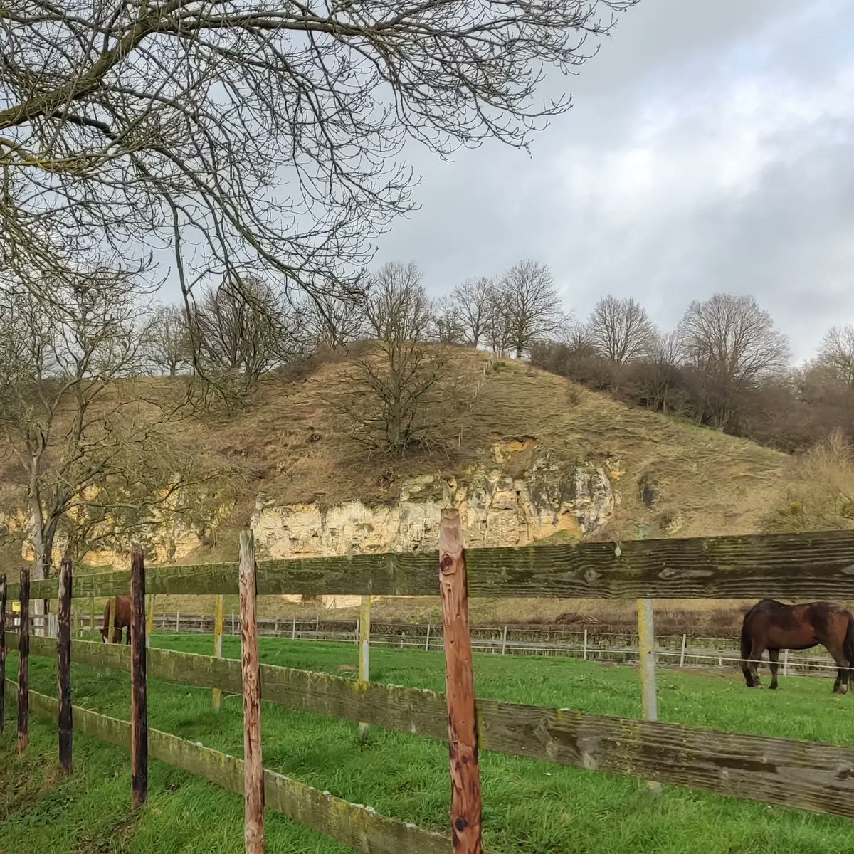Wat is Zuid #Limburg toch on-Hollandsch mooi ♥️ #Margraten #Bemelen #BergenTerblijt