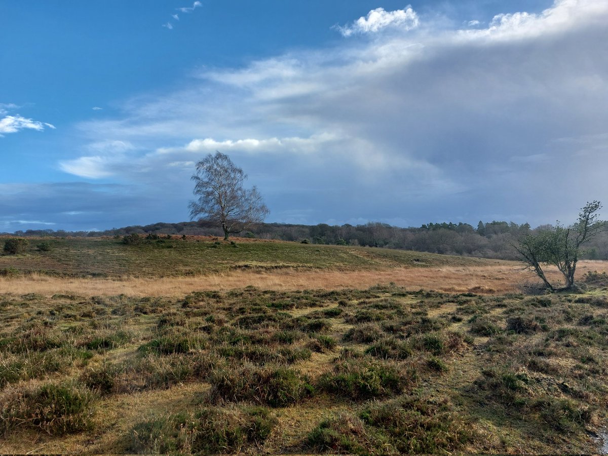 Commoning Family tweet media