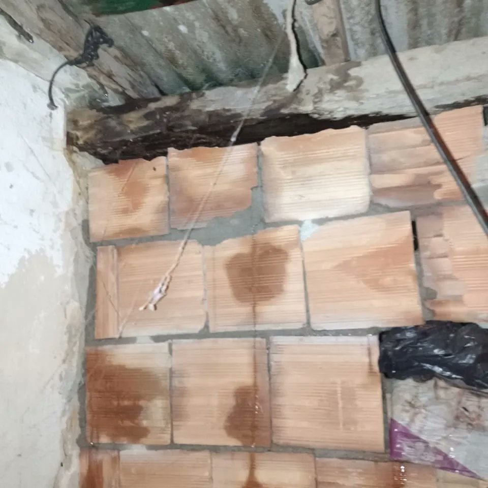nessajesussempr's tweet photo. https://t.co/ftKG2Vy8C5
Quem puder me ajudar minha casa está caindo vou postar as fotos https://t.co/D7GGdEsVYE