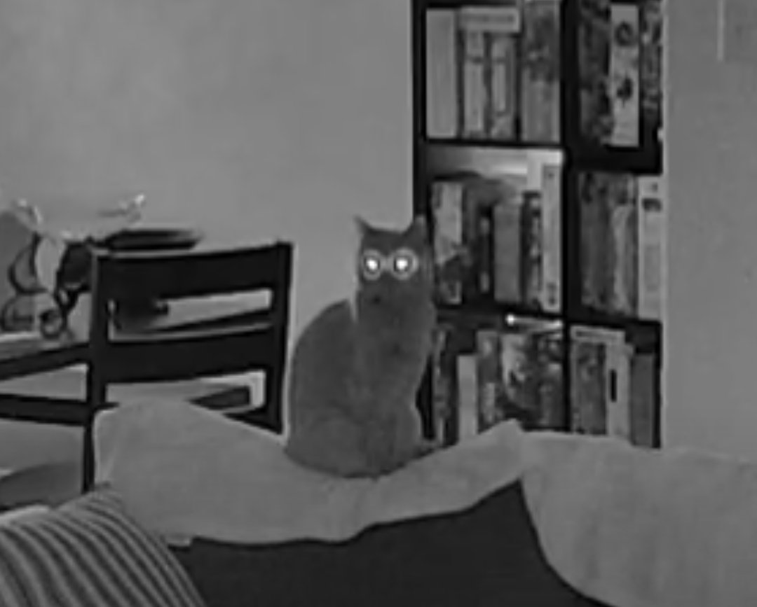 thegremqueen's tweet photo. part 3: simply weesha being ominous https://t.co/MTeaLVvbuG