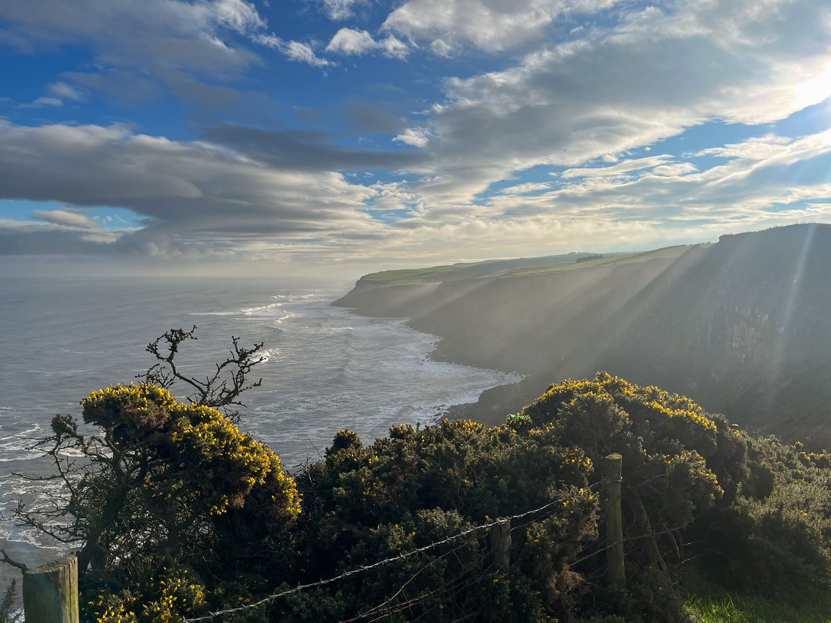 Chris Pennington tweet media