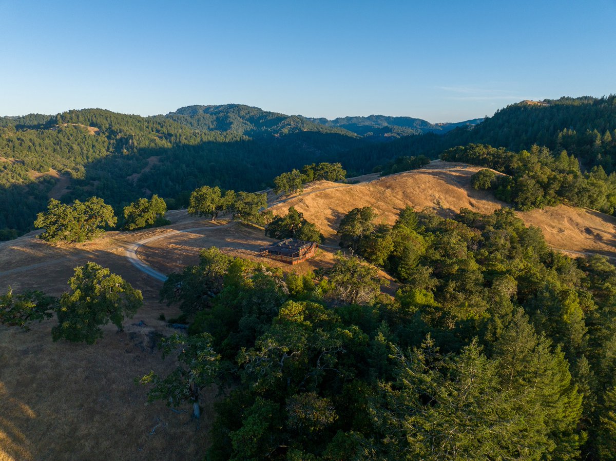 ΚΙΜΩΝ tweet media