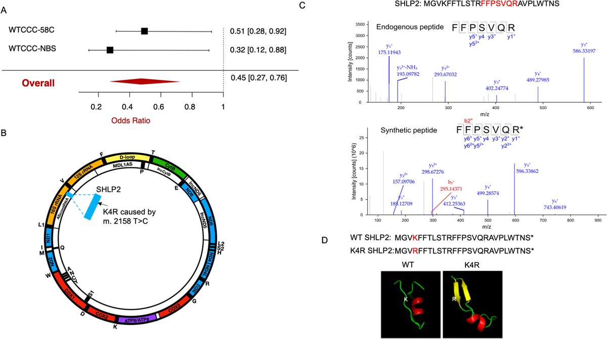 Sciencebeta tweet media