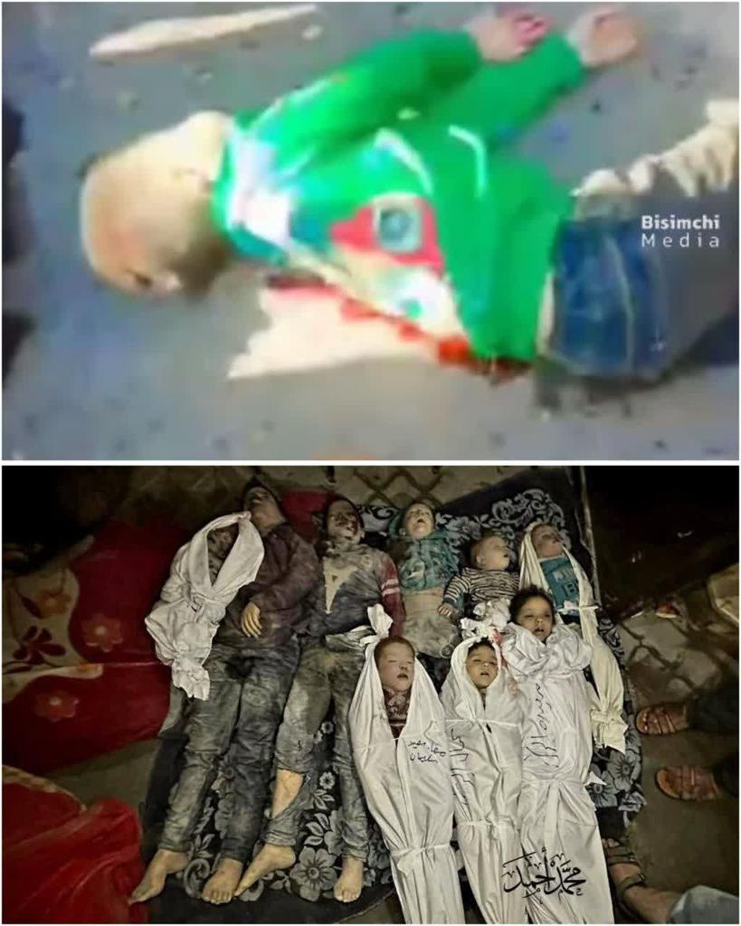 AAskarpoor6666's tweet photo. چه غزه چه کرمان
عامل کودک کش هایکی  است!
#ایران_تسلیت 
#ما_ملت__شهادتیم https://t.co/MtPwV5IPbd