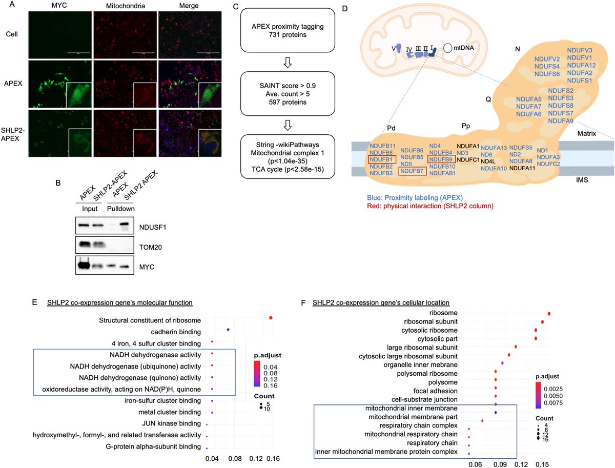 Sciencebeta tweet media