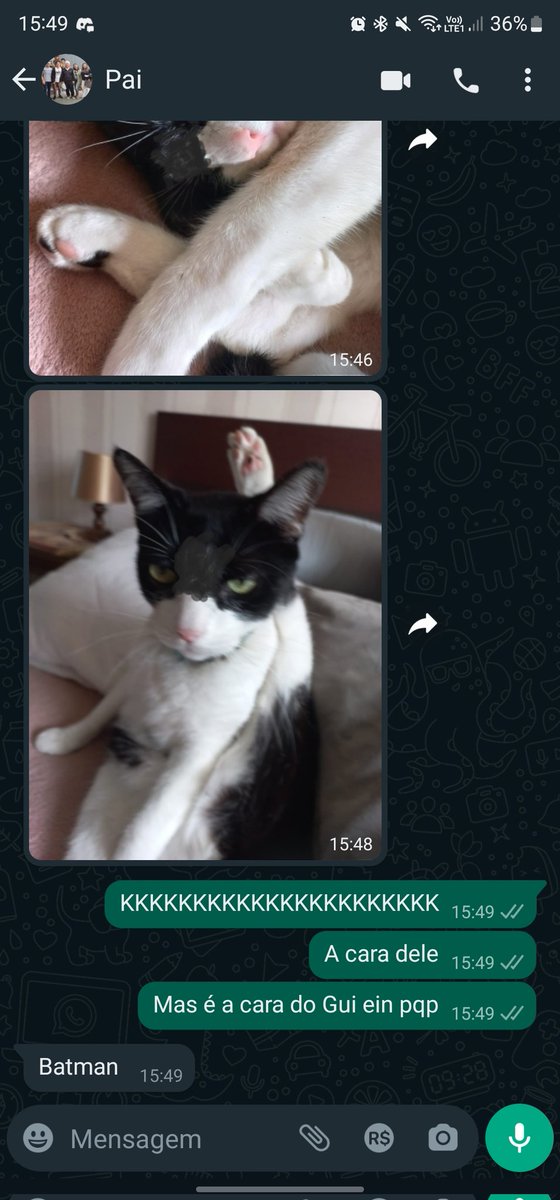 ChorisSdds's tweet image. Batman