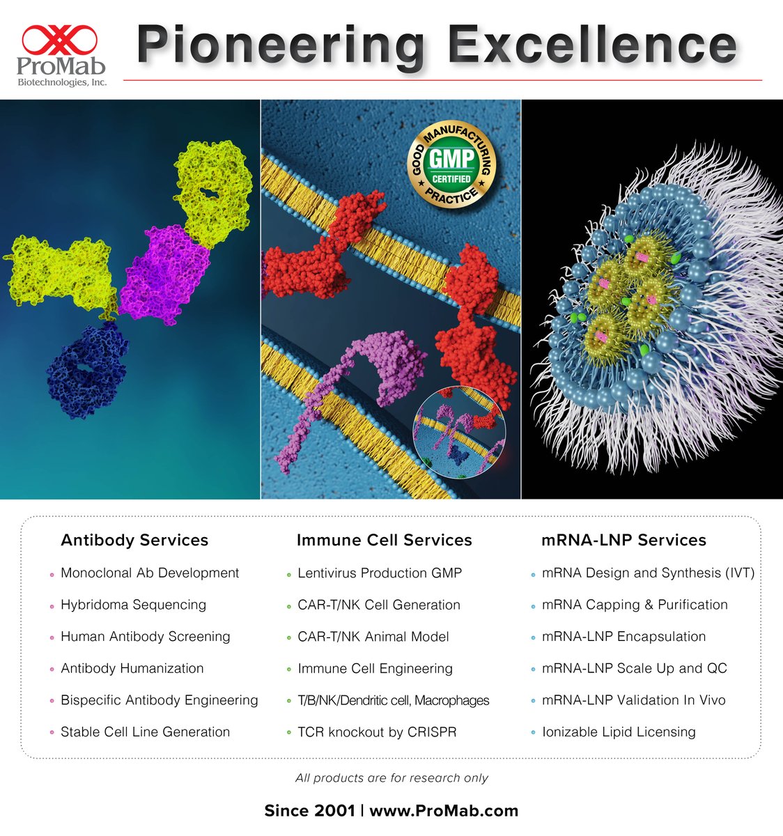 ProMabBiotech's tweet image. Pioneering Excellence since 2001. Uncover the science behind our revolutionary journey—where innovation meets impact. Contact us today and learn more at: promab.com #BioTechRevolution #InnovateWithPMB #ProMabBioTech #ProMabBioEra