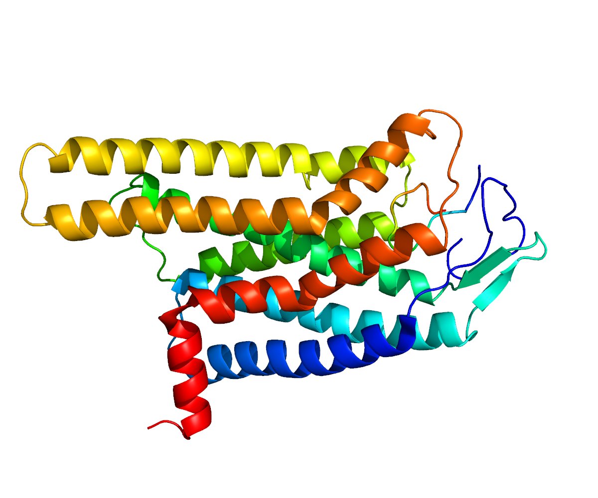 Daniel J Drucker (@danieljdrucker) on Twitter photo Mouse and human data #genetics reveal that a Gsα-independent signaling pathway, namely Gq/11α, contributes to the actions of MC4R on food intake and linear growth, suggesting therapeutic potential of a biased MC4R agonist #obesity <a href="/jclinicalinvest/">Journal of Clinical Investigation</a> jci.org/articles/view/… Mouse and human data #genetics reveal that a Gsα-independent signaling pathway, namely Gq/11α, contributes to the actions of MC4R on food intake and linear growth, suggesting therapeutic potential of a biased MC4R agonist #obesity <a href="/jclinicalinvest/">Journal of Clinical Investigation</a> jci.org/articles/view/…
