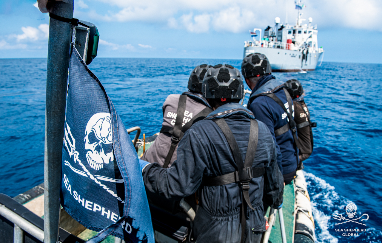 Sea Shepherd (@seashepherd) / X