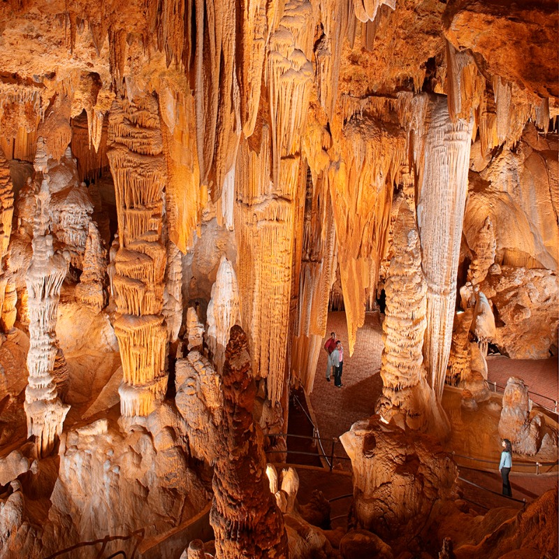 Come take a scenic stroll through your favorite cave system. 🥾 With our 54° temperature, 1.25-mile path, and stunning views, we’ve got everything you need to get more steps in this new year.