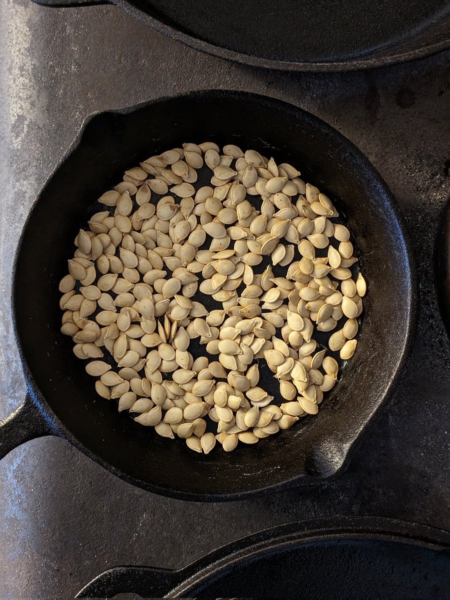 LoCoSketchbook's tweet image. Roasting Harlequin squash seeds on the wood stove. #usewhatyouhave #squash #snacks