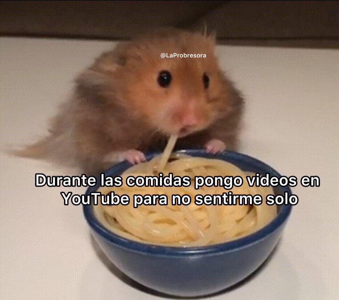 nacional_memes's tweet photo. 🐱 https://t.co/oHK91LcDwO
