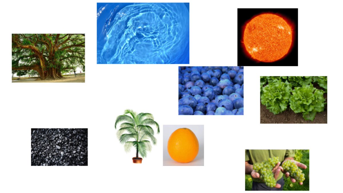 techwithtodd's tweet image. 2nd graders @StanleyStampede are using @GoogleForEdu to create a collage of natural resources in Google Slides. Way to go!  #ilovesse @kisdelemtech #edtech @katyisd