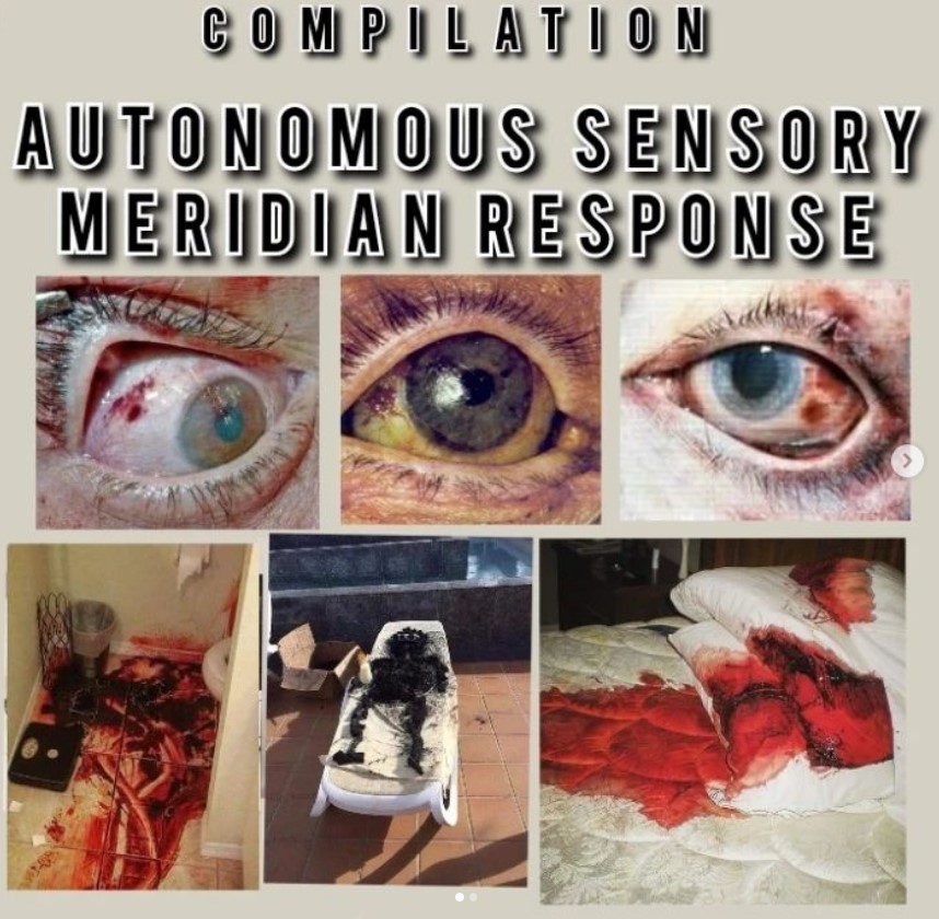 newblockaders's tweet image. Available now:
'Autonomous Sensory Meridian Response' CD (Scum Records) incl:
The New Blockaders + Evil Moisture, Torturing Nurse, The Rita, Vomir, etc.
scumrecords666mx.bandcamp.com/album/compilac…