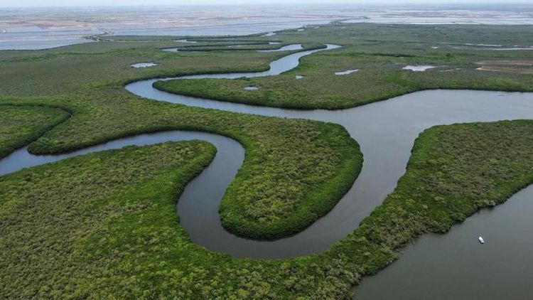CausaNatura's tweet photo. Comprar para preservar: el llamado a salvar la Bahía de Santa María. ¿Qué se puede hacer para resguardar este tesoro ecológico? Te contamos en este hilo de #Repemar 🧵⬇️ https://t.co/aSloRzg4fQ