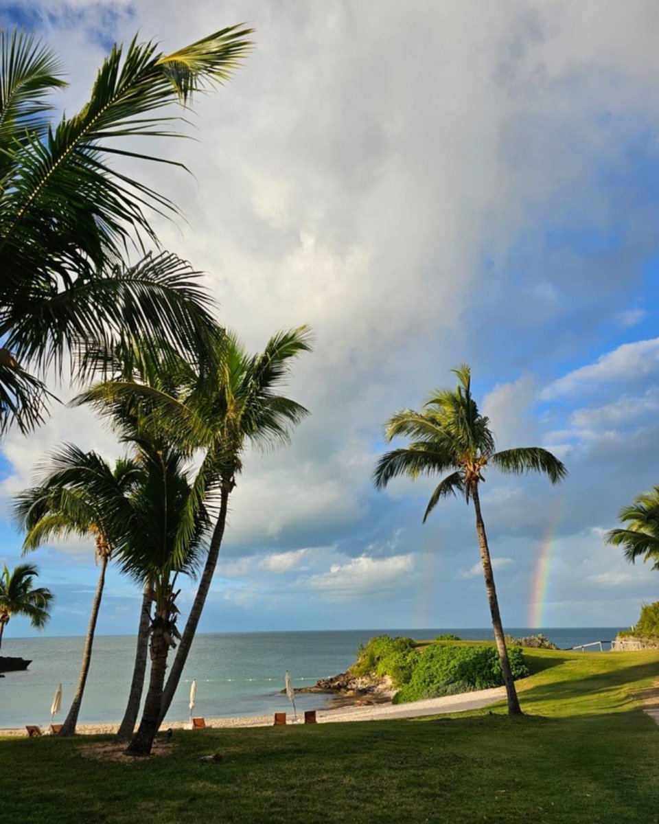 The Cove | Eleuthera tweet media