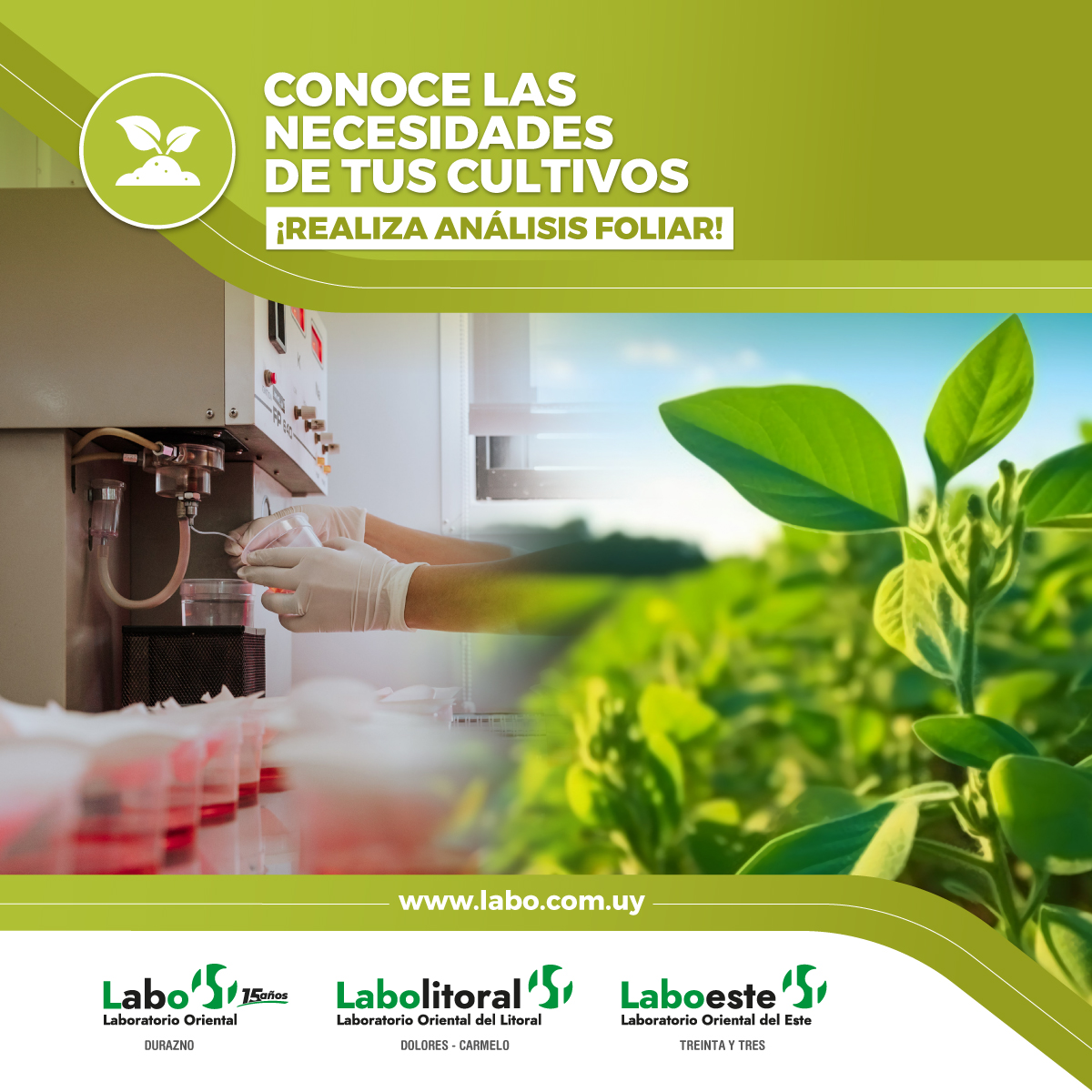 Para un correcto diagnóstico de tu cultivo, ¡realiza ANÁLISIS FOLIAR!

📷Consulte por kits de análisis a su medida.

Somos Laboratorio Oriental, Calidad en Análisis.

¡Consulte!

CONSULTAS GENERALES
+598 97 730 755 (llamada o whatsapp)