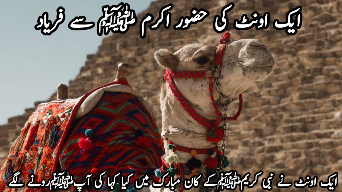 QB_FooD2002's tweet image. Video in YouTube Channel
#storiesislamic #islamicstories #prophetstories
 Link:
youtube.com/@storiesislami…