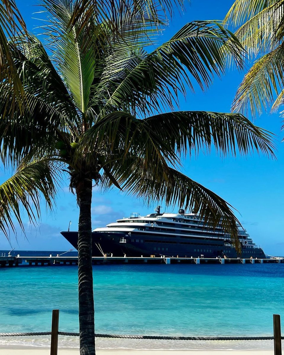 Swaying palm trees dance in the breeze, accenting the lush, green landscape as you arrive at your next Caribbean destination. Captured by zzkat | Instagram