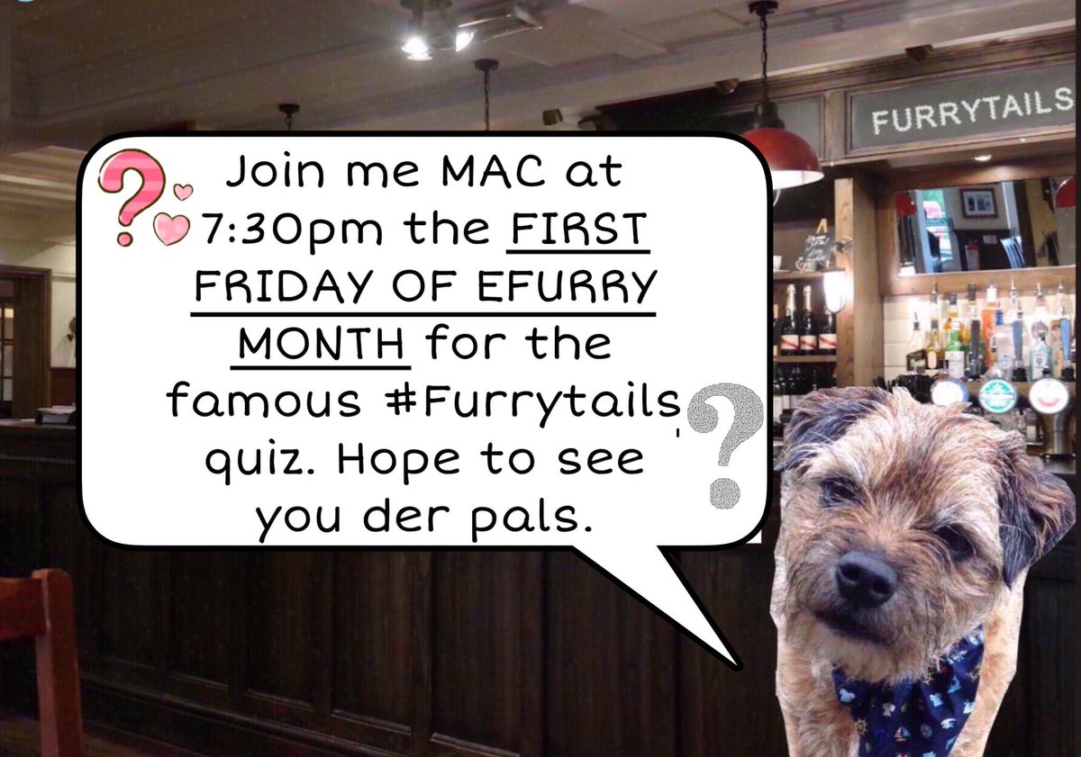 Join us tomorrow night friday 7.30pm uk time here at #furrytails for our famous pub quiz with Mac & Bob @macwhittle x get your pencils ready ✏️ ✏️✏️