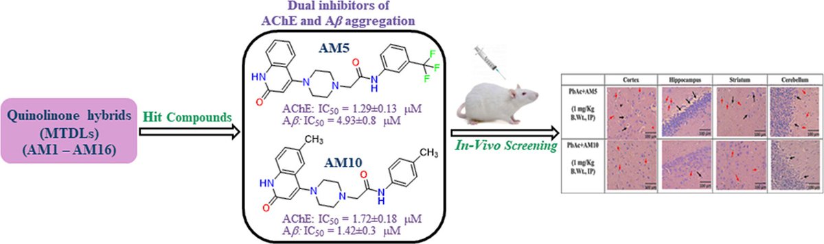 Weill Cornell Medicine Radiology (@wcmradiology) on Twitter photo 🧠 In <a href="/ACSChemNeurosci/">ACSChemNeurosci</a>, a publication of <a href="/AmerChemSociety/">American Chemical Society</a>, <a href="/MT_Gabr/">Moustafa Gabr</a> reports new quinolinone hybrids as dual inhibitors of acetylcholinesterase (AChE) and Aβ aggregation, functioning as multitargeted ligands for Alzheimer's disease. pubs.acs.org/doi/10.1021/ac… 🧠 In <a href="/ACSChemNeurosci/">ACSChemNeurosci</a>, a publication of <a href="/AmerChemSociety/">American Chemical Society</a>, <a href="/MT_Gabr/">Moustafa Gabr</a> reports new quinolinone hybrids as dual inhibitors of acetylcholinesterase (AChE) and Aβ aggregation, functioning as multitargeted ligands for Alzheimer's disease. pubs.acs.org/doi/10.1021/ac…