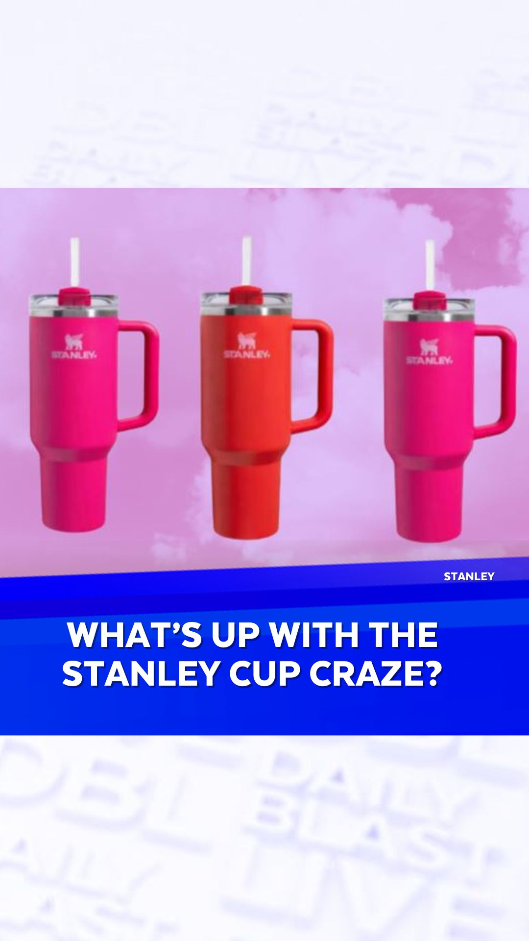 Stanley's cup craze - TheFutureParty
