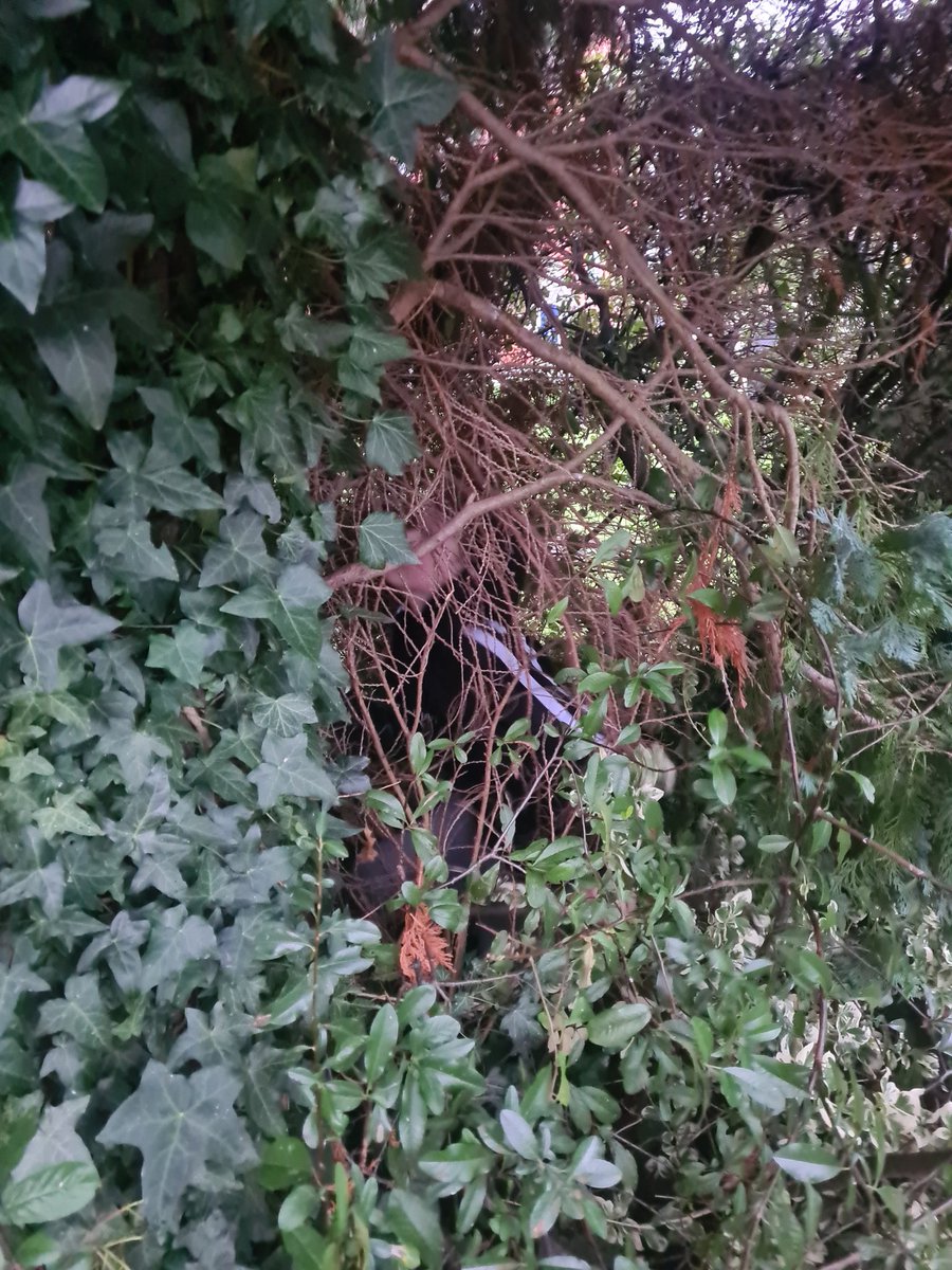 Redgate Sports tweet media