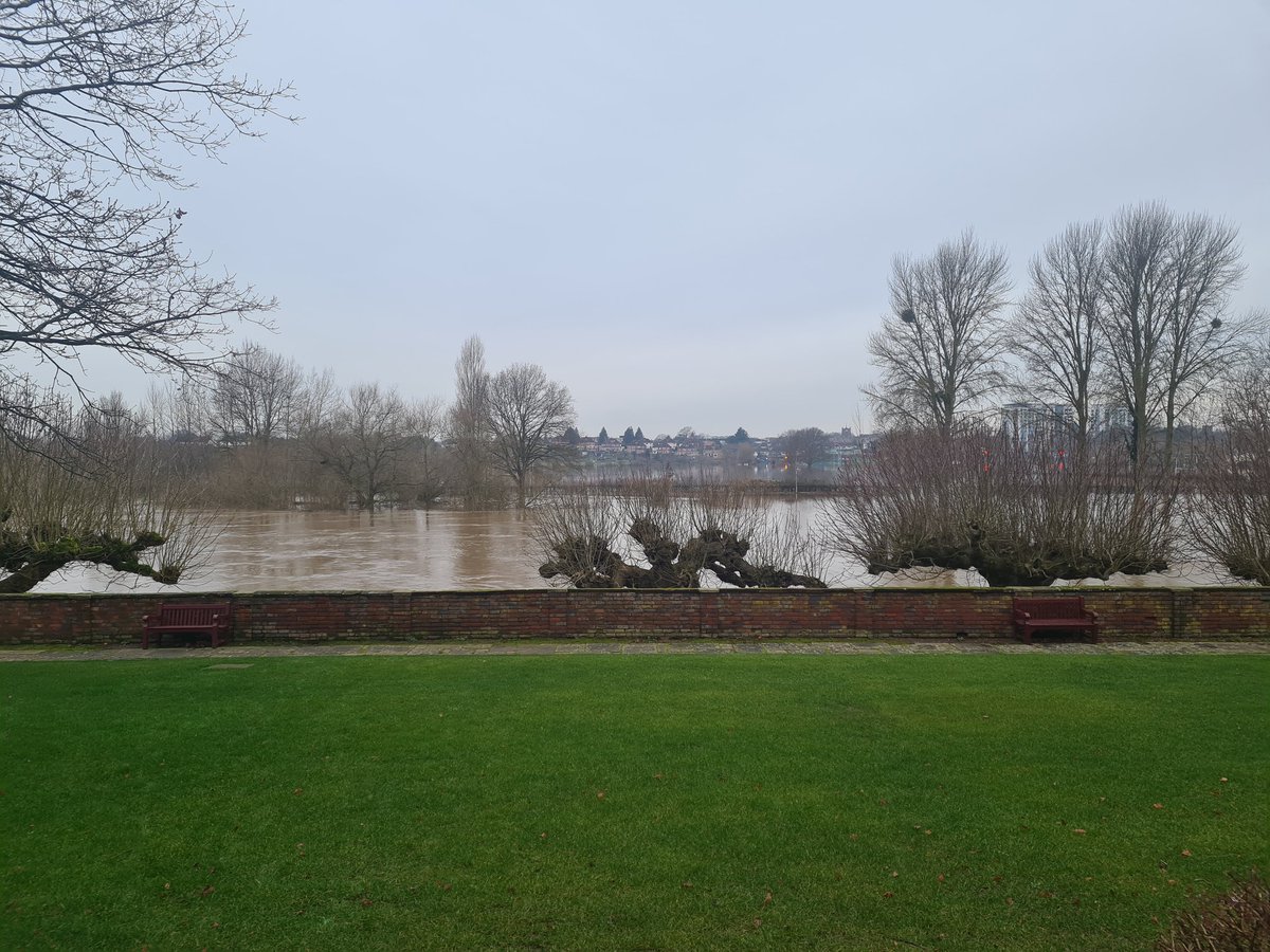 Redgate Sports tweet media