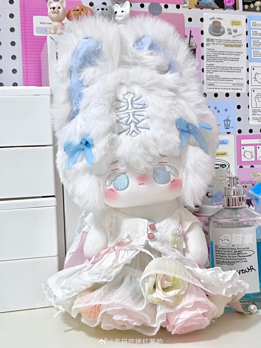 포돌🧸 tweet media