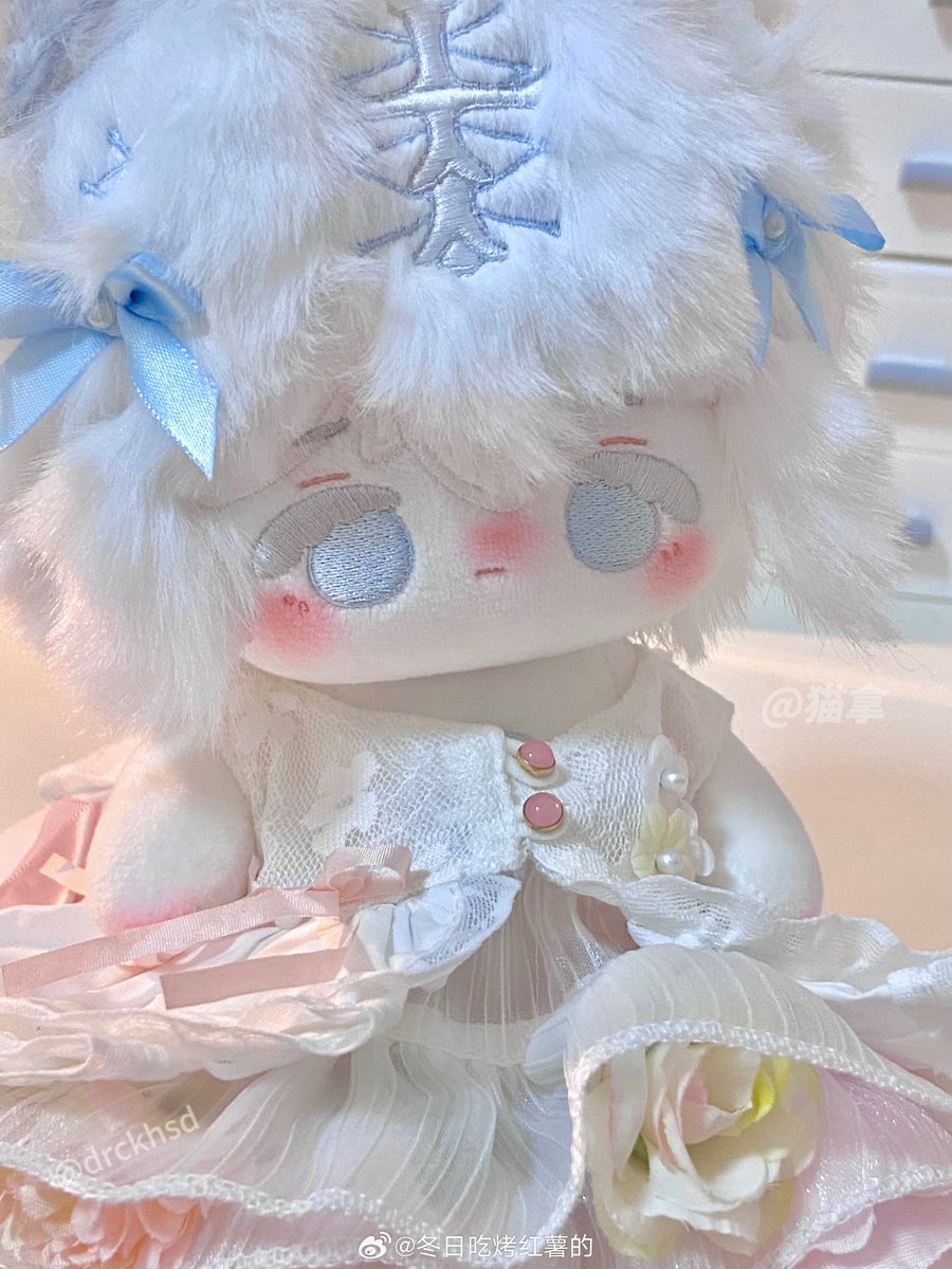 포돌🧸 tweet media