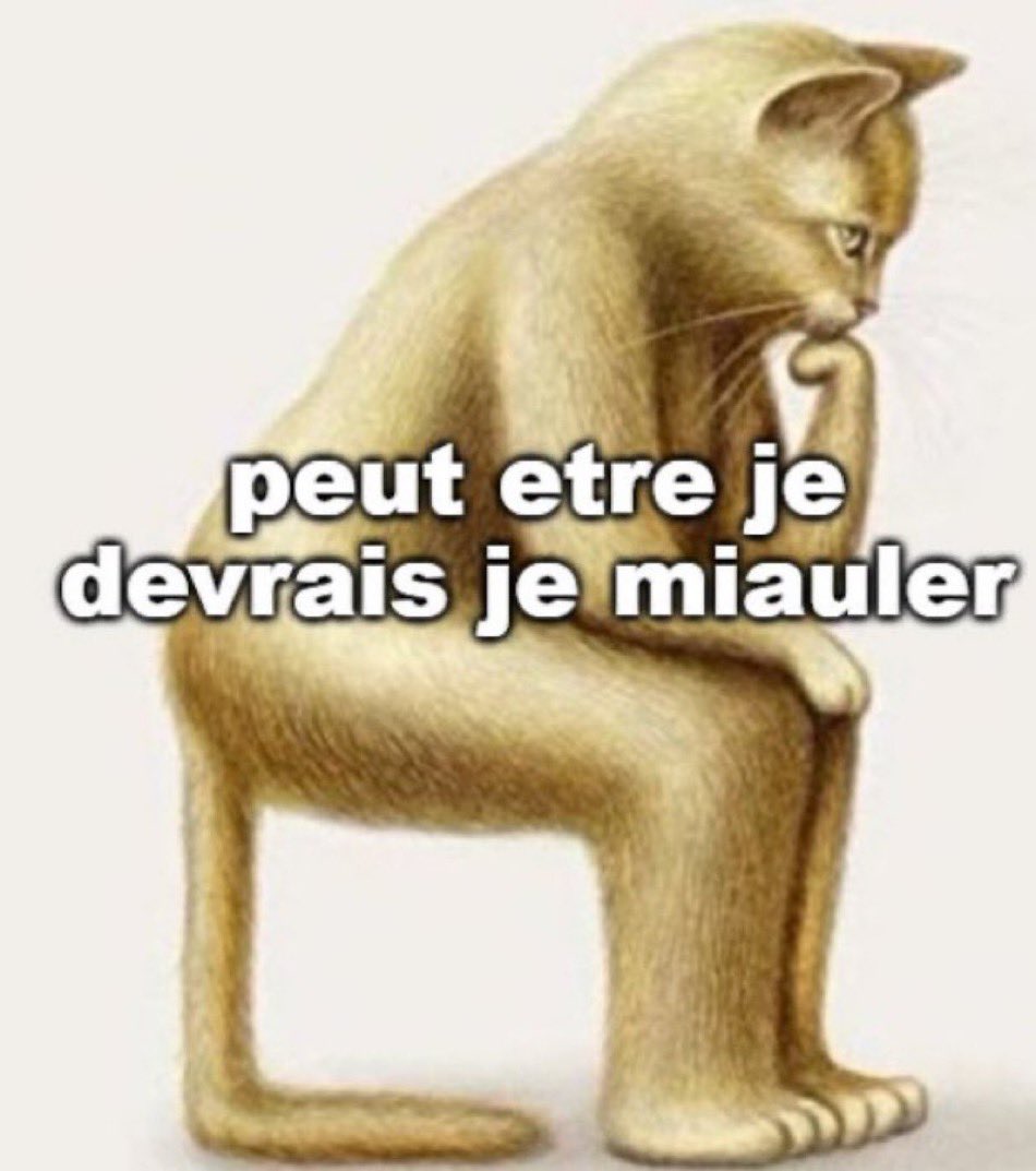 lauragllmt's tweet photo. @appelezmoimoon Après un week-end hôtel, restaurants, visites où j’ai tout payé et que je lui ai dit mot pour mot « j’ai l’impression que c’est comme notre premier date 😻😻 » Il m’a quitté en arrivant à la gare. Fin de la blague https://t.co/MVFtJ7CtwU