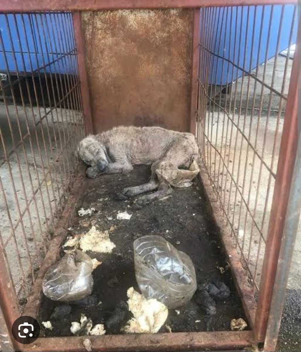 Cesaretin varsa barınakları paylaş. 
#habertürkBOYKOT