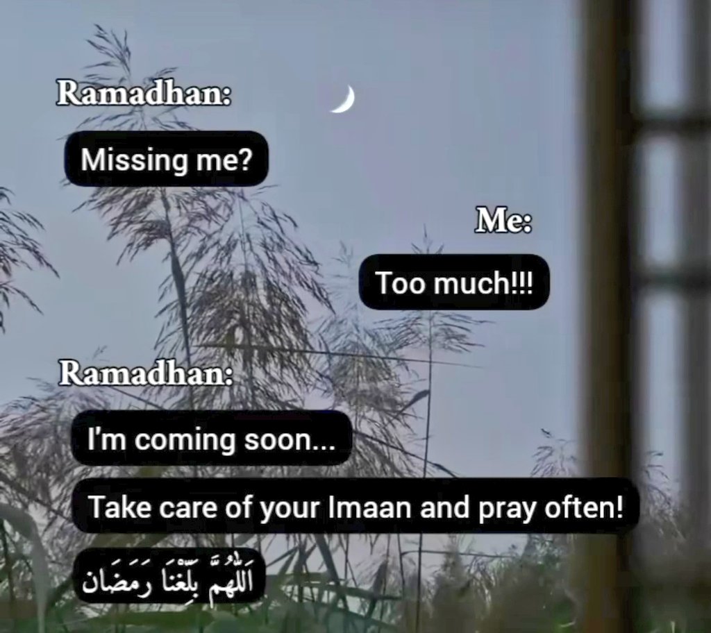 ManhajAsSunnah's tweet photo. I'm waiting with all the sabrs I have! https://t.co/7GtFrFpNyJ