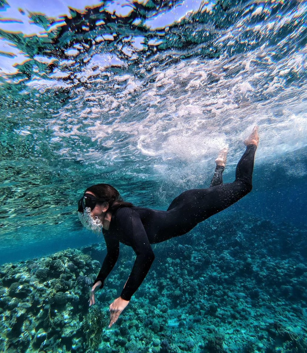 inna_ro's tweet photo. Sea life of Egypt https://t.co/sSkXGlv3Vg