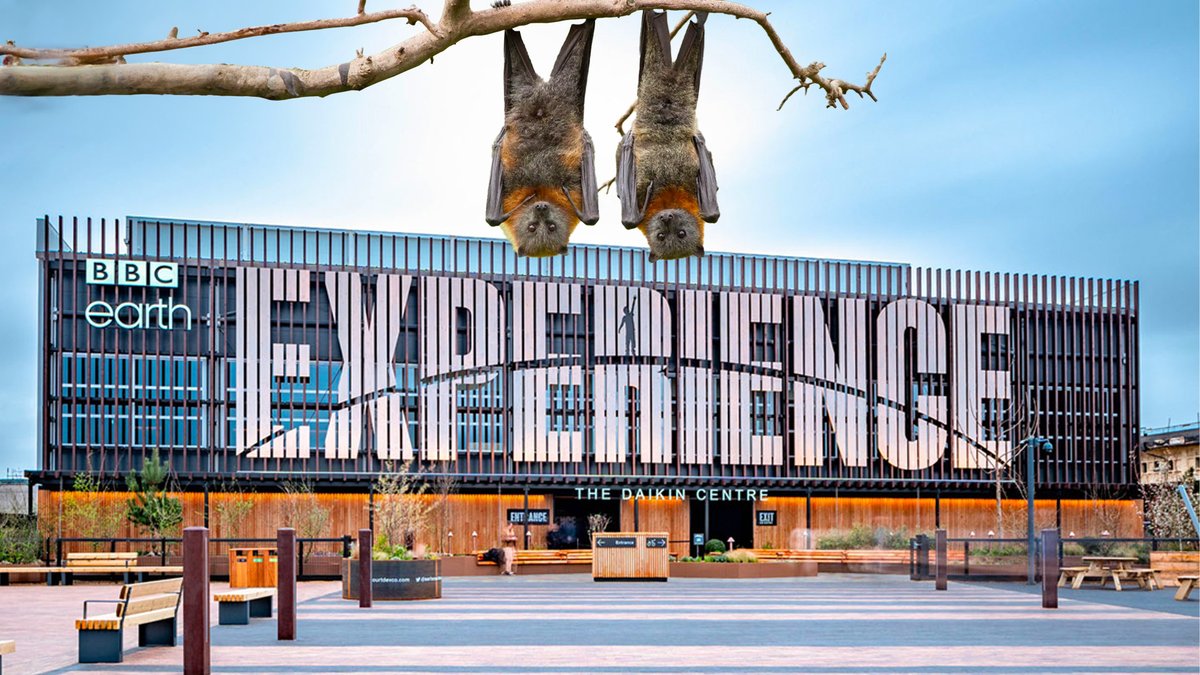 Watch out for Australia’s native little red flying foxes during your visit to the #BBCEarthExperience 🌏

#MyBBCEarthExperience #BBCEarth #SevenWorldsOnePlanet #LondonEvent #London