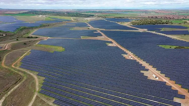 ubiracional's tweet photo. Arrancar árboles del Rural no es beneficioso para nadie. Bueno, sí para las grandes energéticas y los fondos de inversión que especulan con las tierras.
Para el resto, que es la mayoría, miseria, destrucción de hábitats y economías y despoblación.
Os estáis cubriendo de gloria. https://t.co/HH6x4fgQtA
