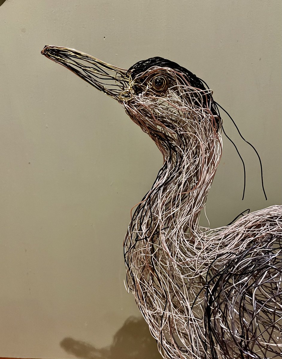 PaulGreenWire's tweet photo. Final touches to this Lifesized Grey Heron before he flies into Antwerp,Belgium. @ChrisGPackham @IoloWilliams2 #wireartist @antwerp #museumdezilvereiger #birdartist #antwerpart #birdswithoutborders https://t.co/WM1X7arRNC
